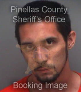 Robertson Daniel - Pinellas County, Florida 