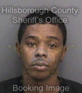 Chandler Demario - Hillsborough County, Florida 