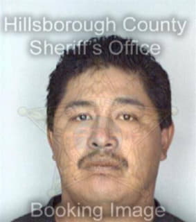 Ramirezoliveros Josue - Hillsborough County, Florida 