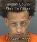 Kleidon Deondre - Pinellas County, Florida 