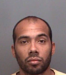 Bryant Dustin - Pinellas County, Florida 