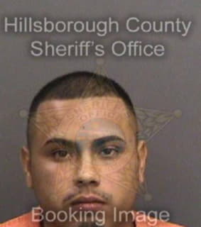 Benito Ricardo - Hillsborough County, Florida 