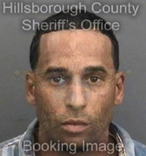 Lee James - Hillsborough County, Florida 