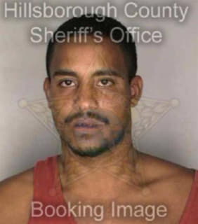 Rodriguez Miguel - Hillsborough County, Florida 