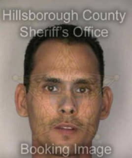 Diaz Miguel - Hillsborough County, Florida 