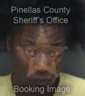 BR Renee - Pinellas County, Florida 