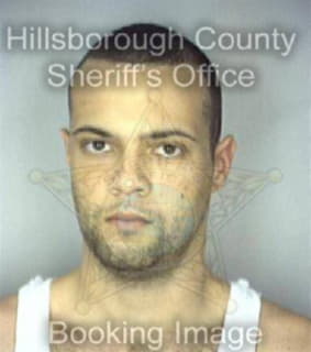 Rodriguez Elias - Hillsborough County, Florida 