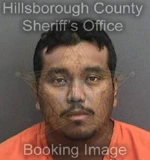 Robleroperez Luis - Hillsborough County, Florida 