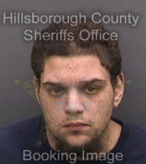 Ricardo Mario - Hillsborough County, Florida 