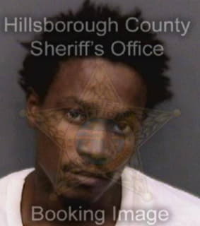 Richardson Clifford - Hillsborough County, Florida 