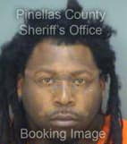 Bradford Deandre - Pinellas County, Florida 