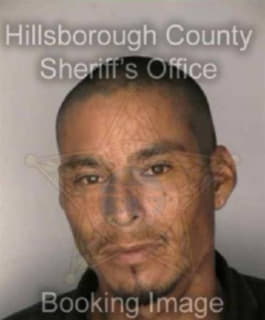 Perez Juan - Hillsborough County, Florida 