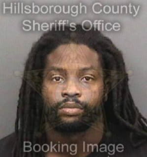 Lewis Kristopher - Hillsborough County, Florida 