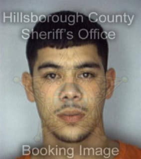 Perez Rogelio - Hillsborough County, Florida 