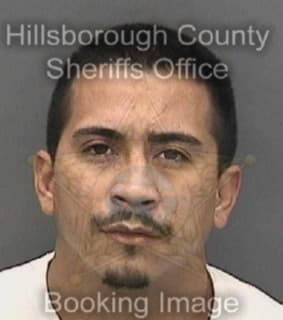 Mayen Brayan - Hillsborough County, Florida 