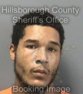 Wright Donavan - Hillsborough County, Florida 