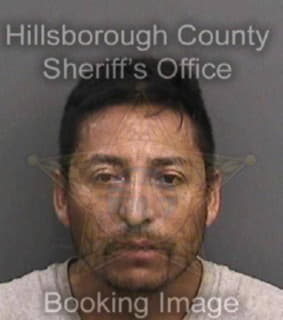 Leonsoto Eladio - Hillsborough County, Florida 