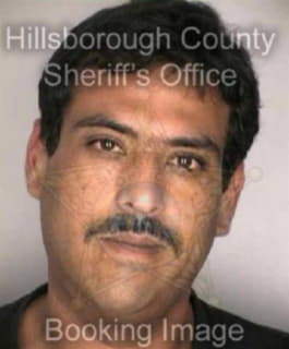 Martinez Florenzio - Hillsborough County, Florida 