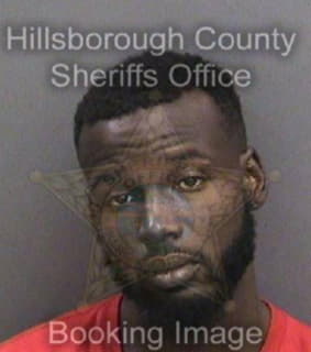 Minott Javaris - Hillsborough County, Florida 