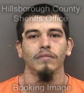 Degollado Marcelino - Hillsborough County, Florida 