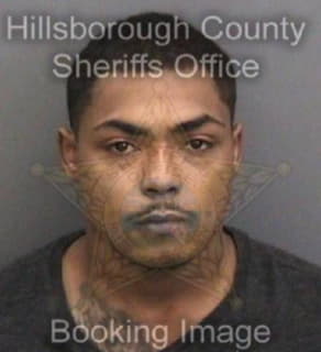 Johnson Mileak - Hillsborough County, Florida 