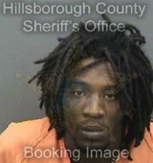 Ford Tyreece - Hillsborough County, Florida 