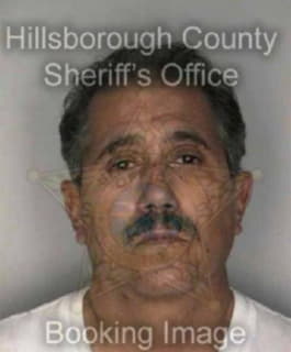 Diaz Joseph - Hillsborough County, Florida 