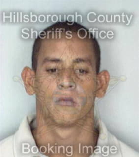 Rodriguez Luis - Hillsborough County, Florida 