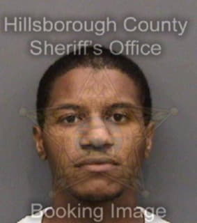 Ortiz Ramon - Hillsborough County, Florida 