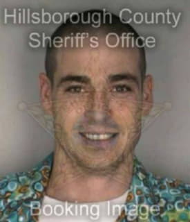 Mcnulty Michael - Hillsborough County, Florida 