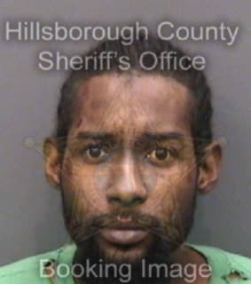 Leach Christopher - Hillsborough County, Florida 