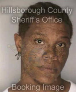 Deramus Daren - Hillsborough County, Florida 