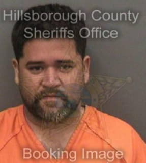 Pineda Wladimir - Hillsborough County, Florida 