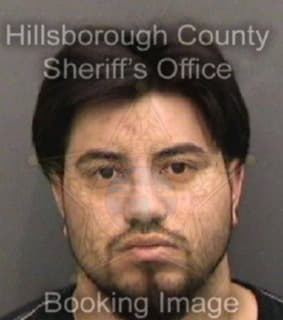 Cardenas Aaron - Hillsborough County, Florida 