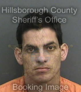 Martin Lestin - Hillsborough County, Florida 