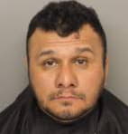 Hernandez Luis - Greenville County, South Carolina 