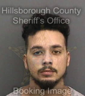 Vega Marc - Hillsborough County, Florida 