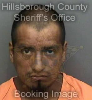 Martinez Ivan - Hillsborough County, Florida 