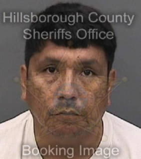 Popeleski James - Hillsborough County, Florida 