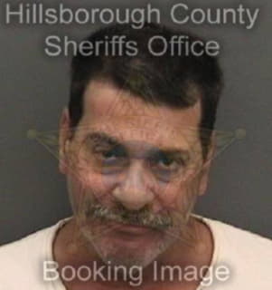 Ortiz Jose - Hillsborough County, Florida 