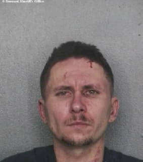 Koszykowski Przemyslaw - Broward County, Florida 