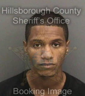 Ortiz Ramon - Hillsborough County, Florida 