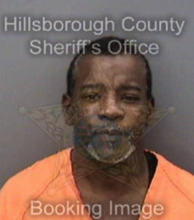 Freeman Michael - Hillsborough County, Florida 