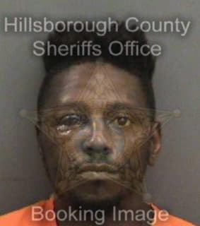 Martin Ronald - Hillsborough County, Florida 