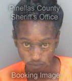 Mcnish Shera - Pinellas County, Florida 