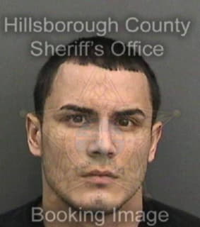 Ruizrodriguez Carlos - Hillsborough County, Florida 