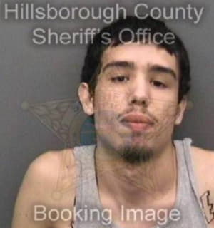 Ramos Jorge - Hillsborough County, Florida 