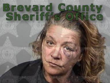 Finsted Michelle - Brevard County, Florida 