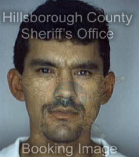 Vilano Sanmiguel - Hillsborough County, Florida 