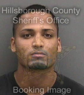 Rivera Christopher - Hillsborough County, Florida 